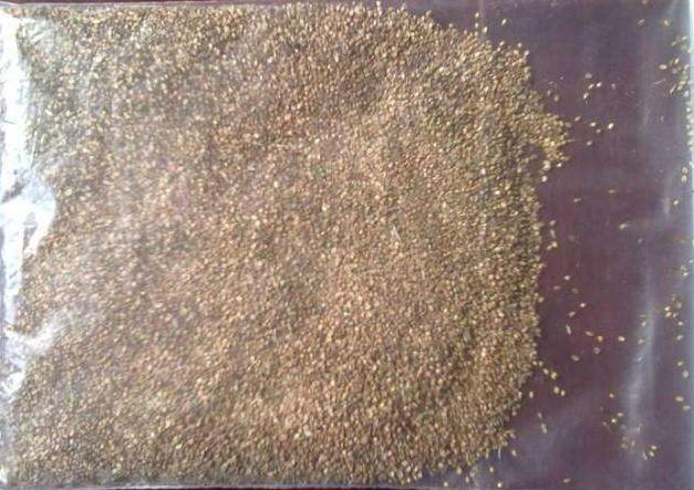 长沙东日园林工程有限公司,长沙园林绿化工程,长沙绿化养护管理