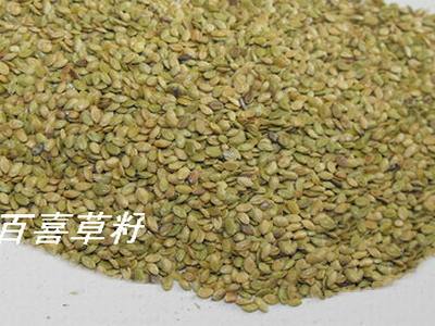 长沙东日园林工程有限公司,长沙园林绿化工程,长沙绿化养护管理