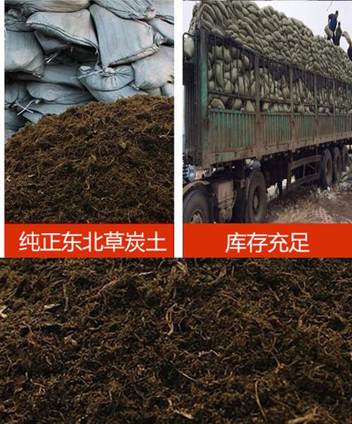 长沙东日园林工程有限公司,长沙园林绿化工程,长沙绿化养护管理