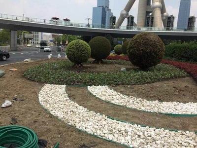 长沙东日园林工程有限公司,长沙园林绿化工程,长沙绿化养护管理