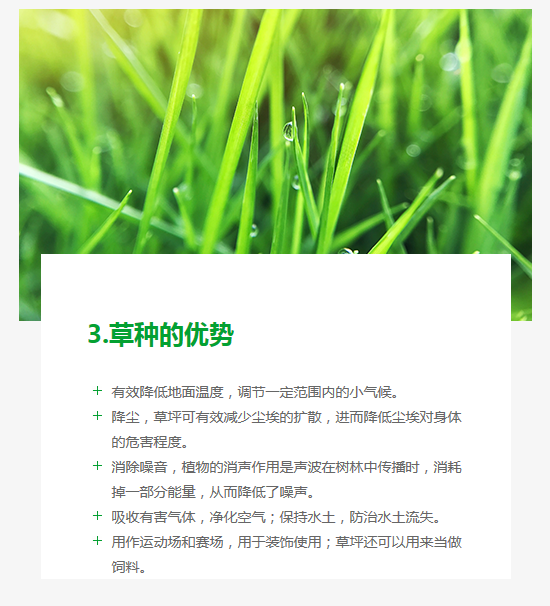 长沙东日园林工程有限公司,长沙园林绿化工程,长沙绿化养护管理